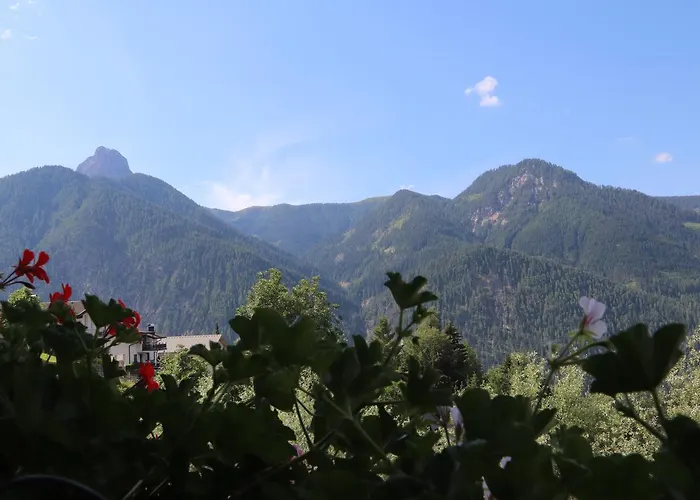 Bichlgeiger Гостевой дом Анрас