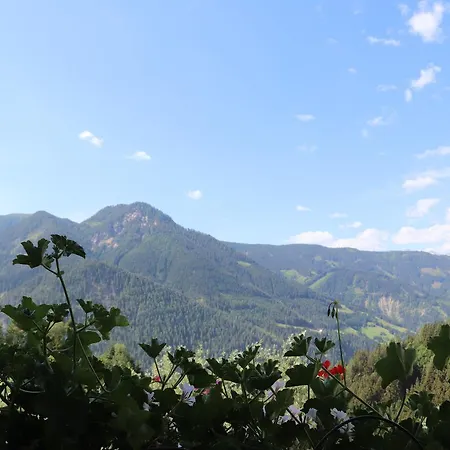 Bichlgeiger